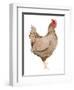 Life on the Farm Chicken Element III-Kathleen Parr McKenna-Framed Art Print