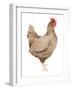 Life on the Farm Chicken Element III-Kathleen Parr McKenna-Framed Art Print