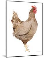 Life on the Farm Chicken Element III-Kathleen Parr McKenna-Mounted Art Print