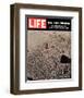 LIFE On the Moon-Footprints-null-Framed Art Print