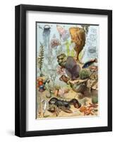 Life on the Sea Floor, Including Crustaceans and Molluscs-null-Framed Premium Giclee Print