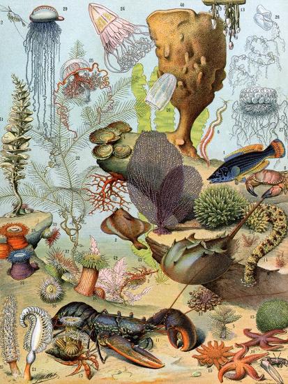 Premium Giclee Print, , large