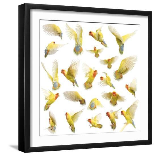 Premium Photographic Print, , large