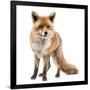 Gramercy Black