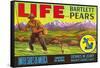 Life Pear Label-null-Framed Stretched Canvas