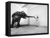 Life Photographer Arthur Schatz with Elephant While Shooting Story on the Franklin Park Zoo-Arthur Schatz-Framed Stretched Canvas