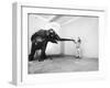 Life Photographer Arthur Schatz with Elephant While Shooting Story on the Franklin Park Zoo-Arthur Schatz-Framed Photographic Print