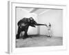 Life Photographer Arthur Schatz with Elephant While Shooting Story on the Franklin Park Zoo-Arthur Schatz-Framed Photographic Print