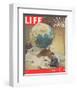 LIFE Plotting Sputnik Orbit-null-Framed Premium Giclee Print