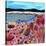 Life's a Beach-Caroline Duncan-Stretched Canvas