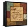 Life's About-Sophie Devereux-Framed Stretched Canvas