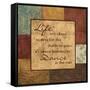 Life's About-Sophie Devereux-Framed Stretched Canvas