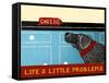 Life'S Little Problems Banner-Stephen Huneck-Framed Stretched Canvas