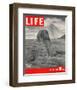 LIFE - Sand-bagged Sphinx 1942-null-Framed Premium Giclee Print