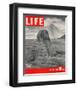 LIFE - Sand-bagged Sphinx 1942-null-Framed Art Print