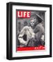 LIFE Soldier's Farewell 1943-null-Framed Premium Giclee Print