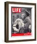 LIFE Soldier's Farewell 1943-null-Framed Premium Giclee Print