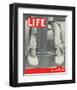 LIFE The class of 1937-null-Framed Art Print