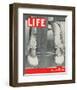 LIFE The class of 1937-null-Framed Art Print