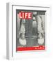 LIFE The class of 1937-null-Framed Art Print