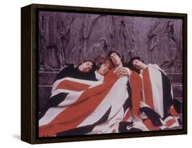 Life Through the Sixtees-null-Framed Stretched Canvas