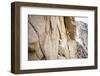 Life Time Climber Makes Short Work of Totally Unreliable in Little Cottonwood Canyon, Utah-Louis Arevalo-Framed Photographic Print