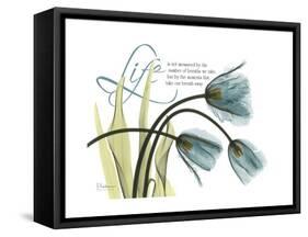 Life Tulips-Albert Koetsier-Framed Stretched Canvas