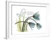 Life Tulips-Albert Koetsier-Framed Premium Giclee Print