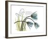 Life Tulips-Albert Koetsier-Framed Premium Giclee Print