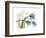 Life Tulips-Albert Koetsier-Framed Premium Giclee Print