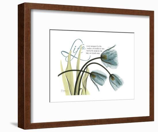 Life Tulips-Albert Koetsier-Framed Premium Giclee Print