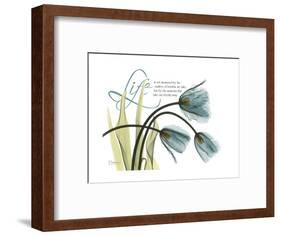 Life Tulips-Albert Koetsier-Framed Premium Giclee Print