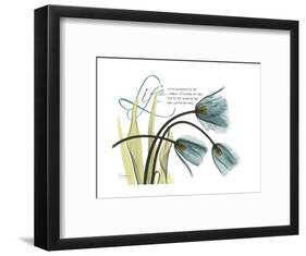 Life Tulips-Albert Koetsier-Framed Premium Giclee Print