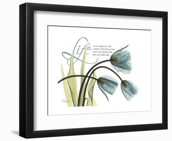 Life Tulips-Albert Koetsier-Framed Premium Giclee Print