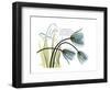 Life Tulips-Albert Koetsier-Framed Premium Giclee Print