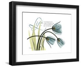 Life Tulips-Albert Koetsier-Framed Premium Giclee Print