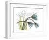 Life Tulips-Albert Koetsier-Framed Premium Giclee Print