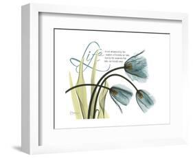 Life Tulips-Albert Koetsier-Framed Premium Giclee Print