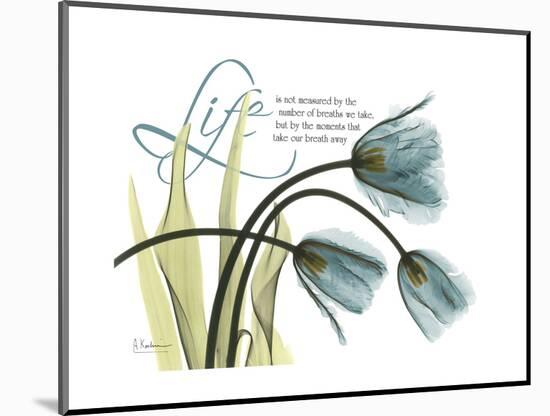 Life Tulips-Albert Koetsier-Mounted Premium Giclee Print
