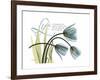 Life Tulips-Albert Koetsier-Framed Premium Giclee Print