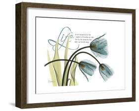 Life Tulips-Albert Koetsier-Framed Premium Giclee Print