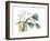 Life Tulips-Albert Koetsier-Framed Premium Giclee Print