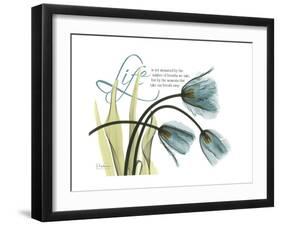 Life Tulips-Albert Koetsier-Framed Premium Giclee Print