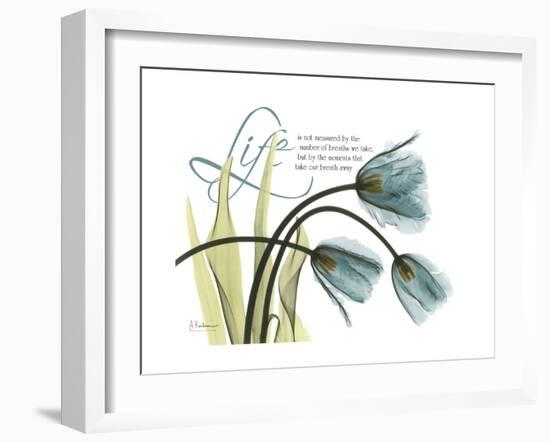 Life Tulips-Albert Koetsier-Framed Premium Giclee Print