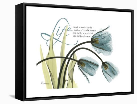 Life Tulips-Albert Koetsier-Framed Stretched Canvas