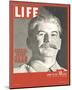 LIFE USSR Joseph Stalin 1943-null-Mounted Art Print
