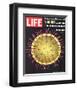 LIFE Viruses-The Flu Germ 1966-null-Framed Premium Giclee Print