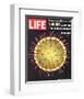 LIFE Viruses-The Flu Germ 1966-null-Framed Premium Giclee Print