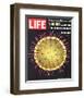 LIFE Viruses-The Flu Germ 1966-null-Framed Art Print