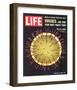 LIFE Viruses-The Flu Germ 1966-null-Framed Art Print